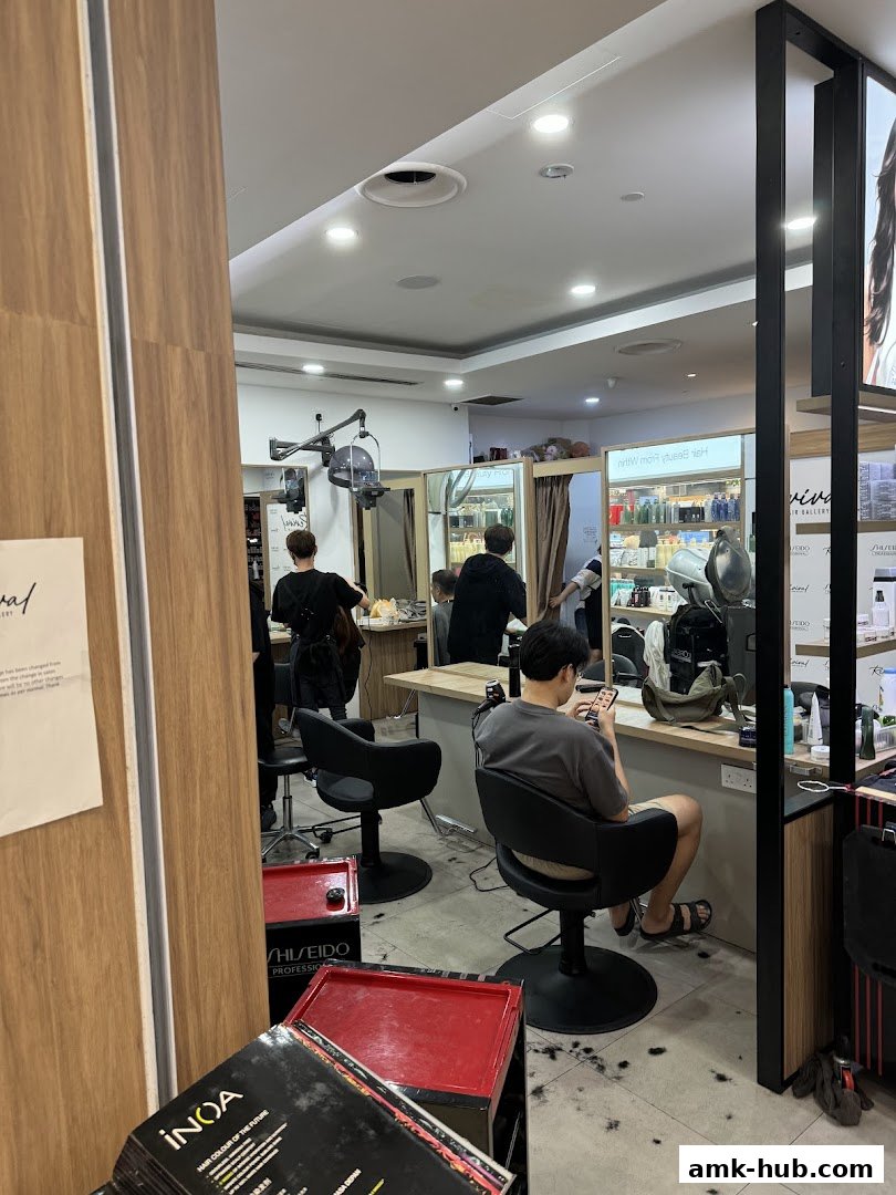 Interior view of a busy hair salon with stylists and clients at chairs.