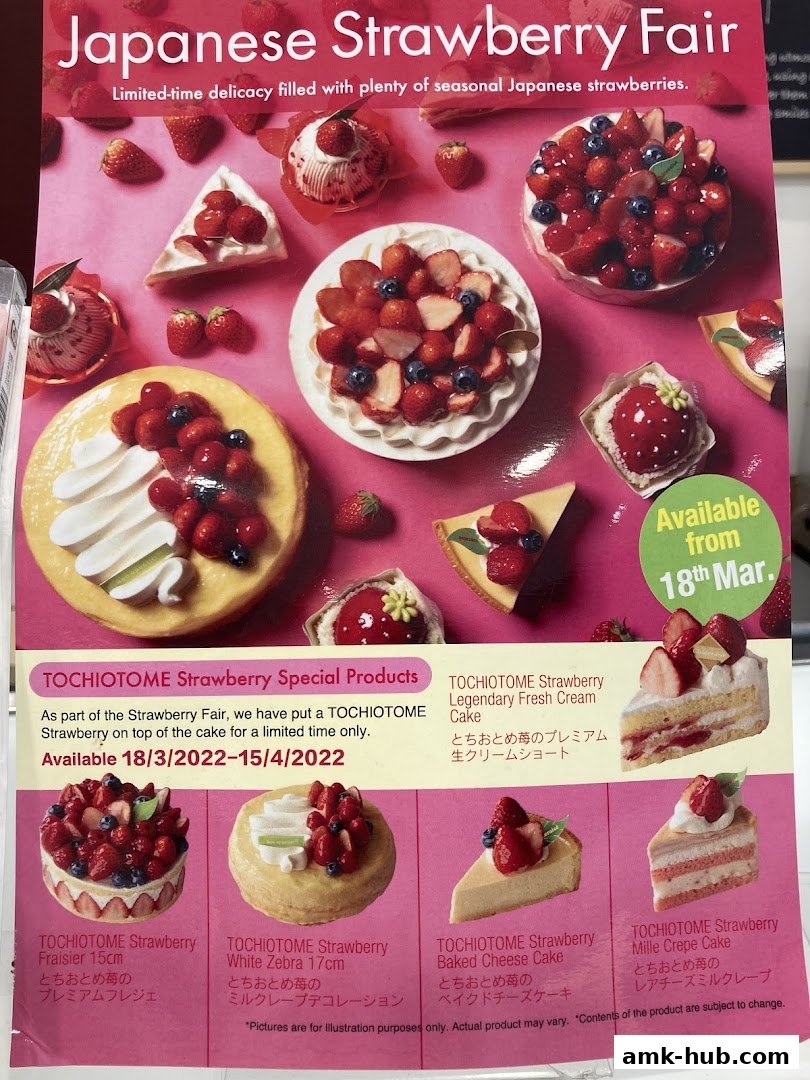 A promotional flyer showcasing various Japanese strawberry cakes and desserts from Châteraisé.