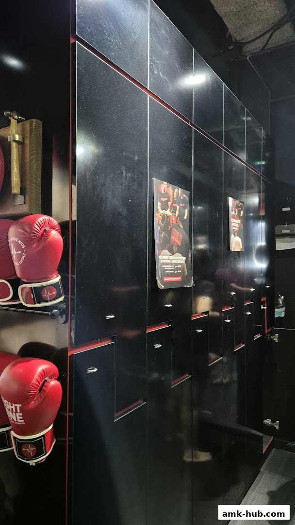 Red boxing gloves and lockers are displayed in a gym.