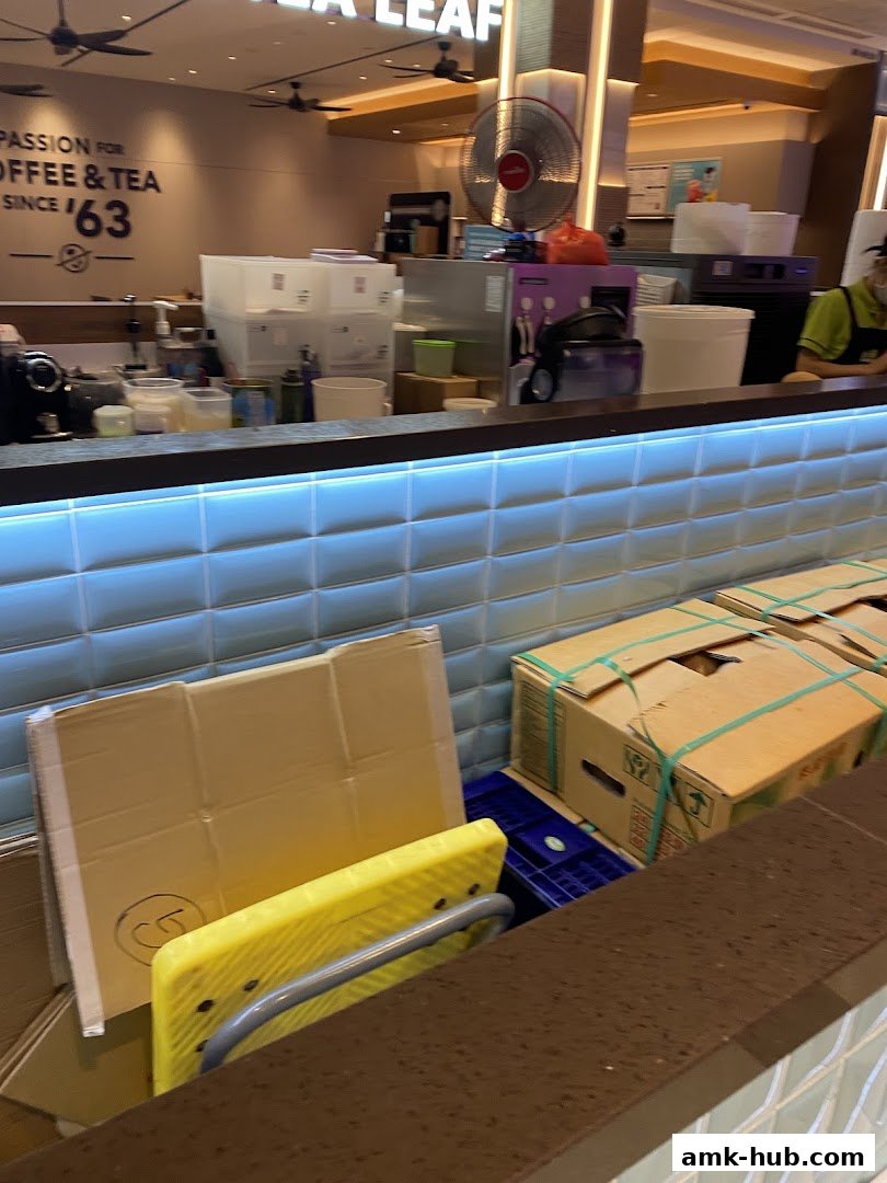 A view of a coffee and tea shop counter with boxes and supplies.
