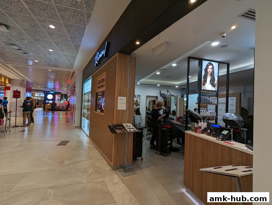 Interior view of Revival Hair Gallery with stylists working and a reception counter.