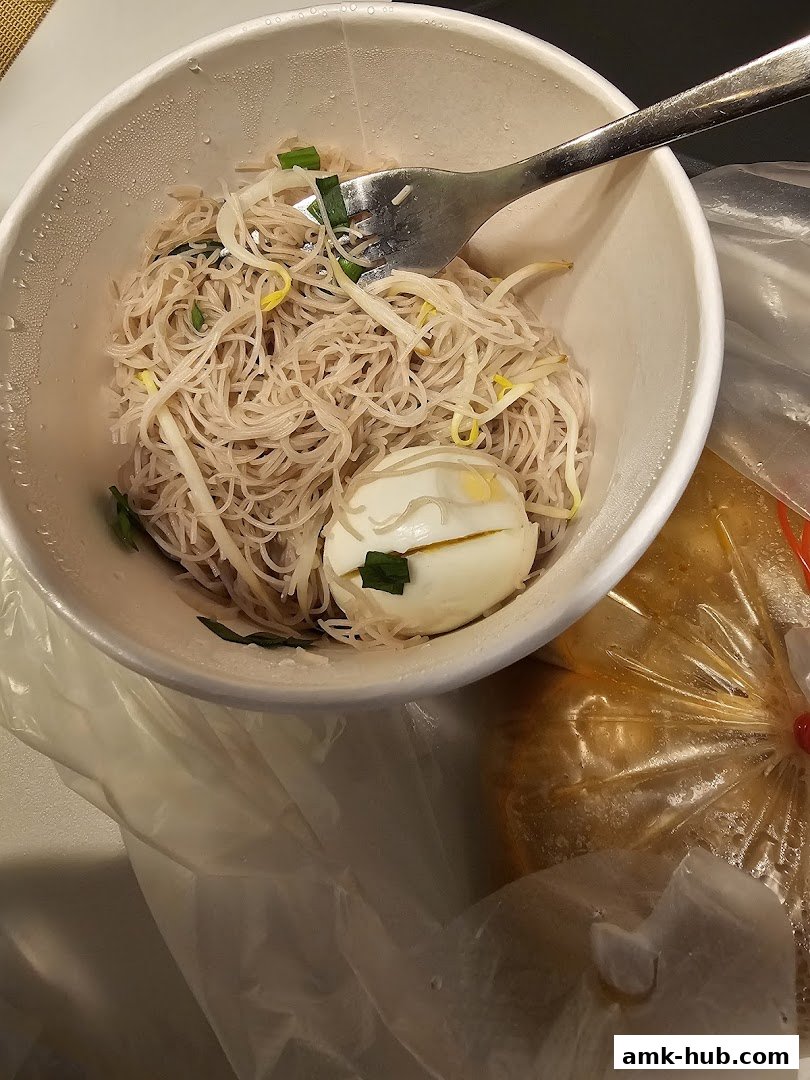 A bowl of noodles with a hard-boiled egg and a fork, next to a plastic bag of food.