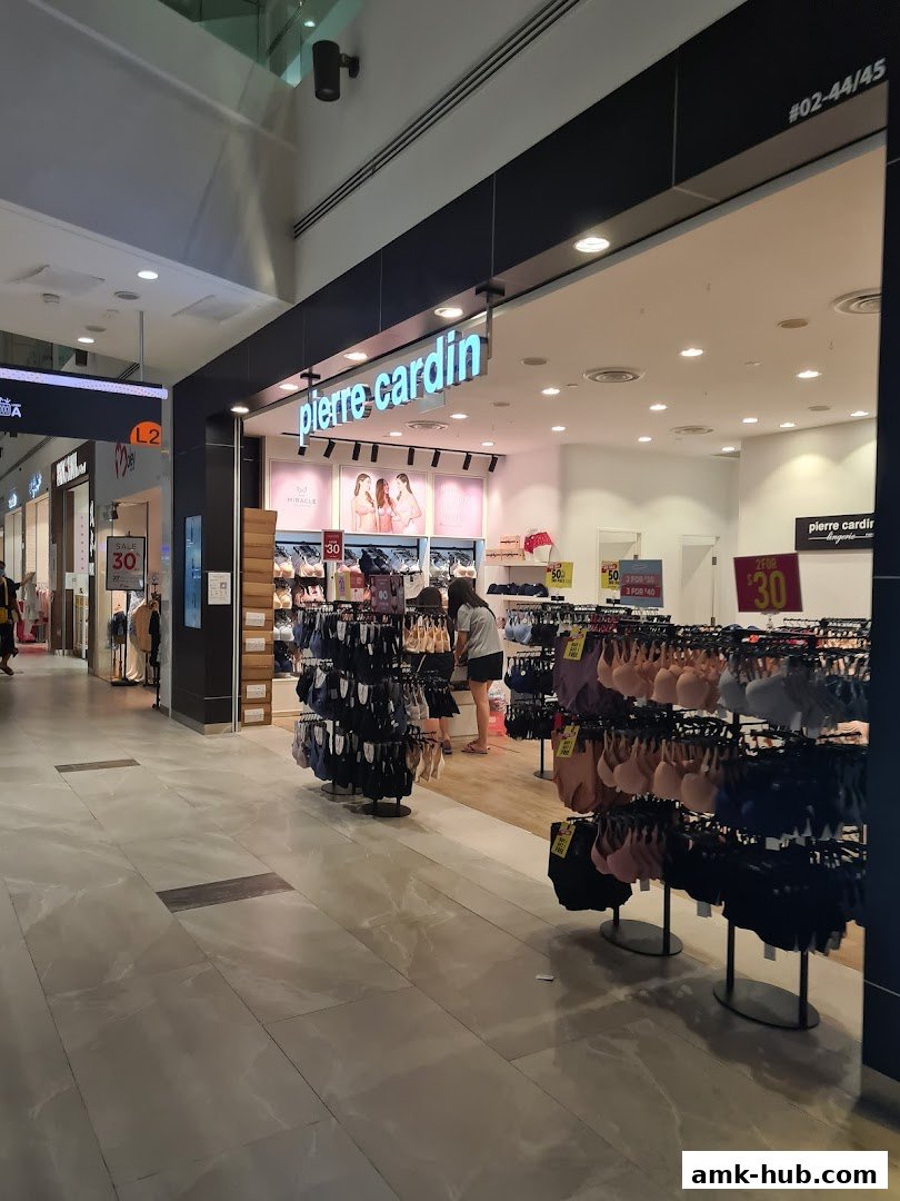 A Pierre Cardin Lingerie store with racks of bras and underwear displayed.
