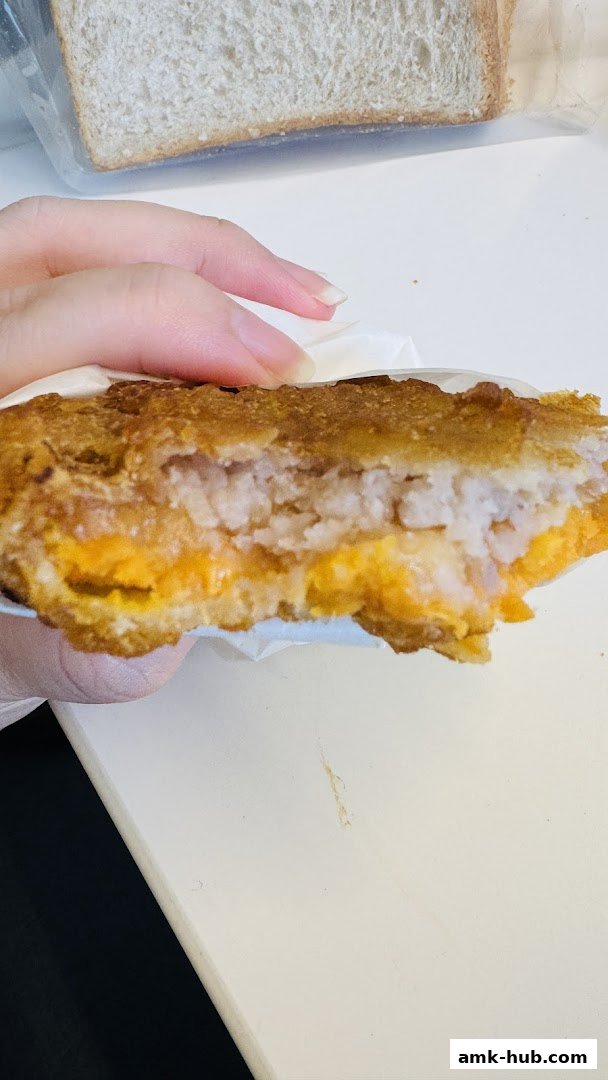 A close-up shot of a person holding a delicious-looking sandwich with melted cheese and filling.