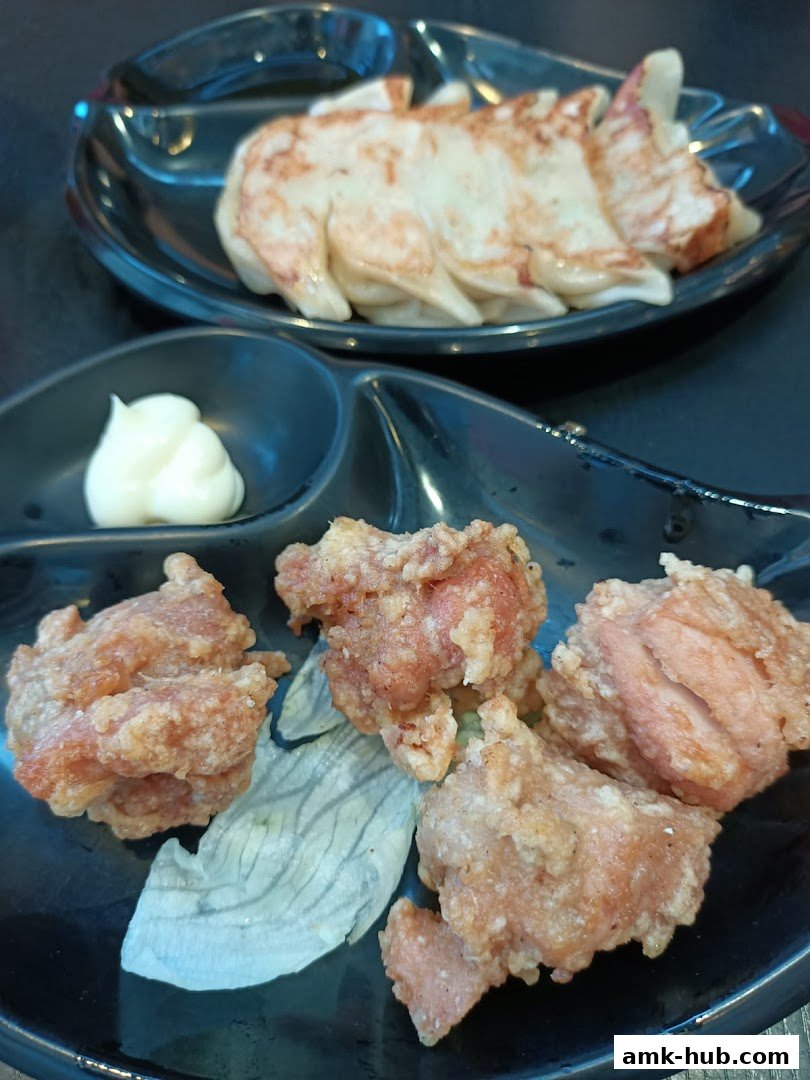 A close-up of Japanese fried chicken and pan-fried dumplings served on black plates.