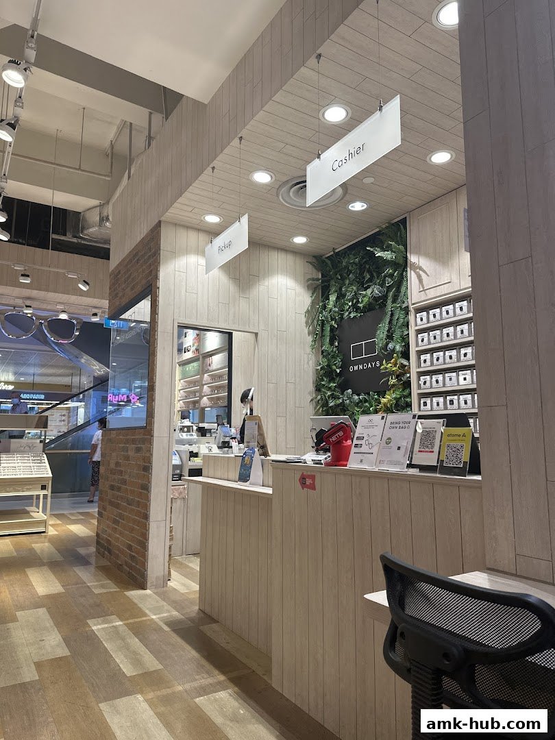 Interior view of an optical shop with a cashier counter and product displays.