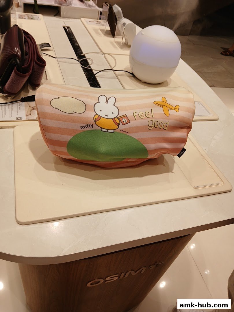 A Miffy-themed pillow with 'feel good' text and an airplane graphic is displayed.