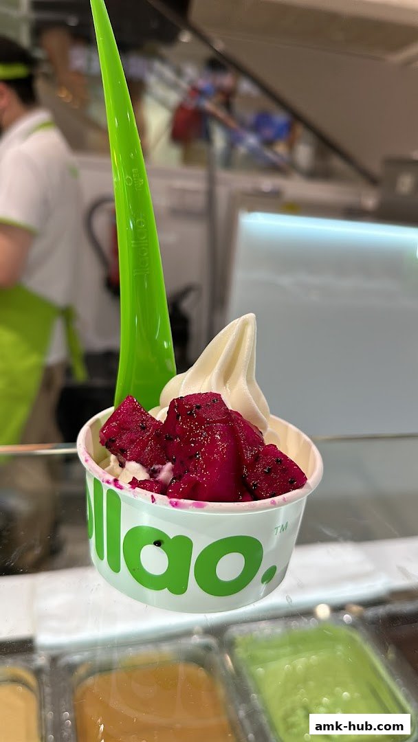 A cup of llaollao frozen yogurt topped with dragon fruit.