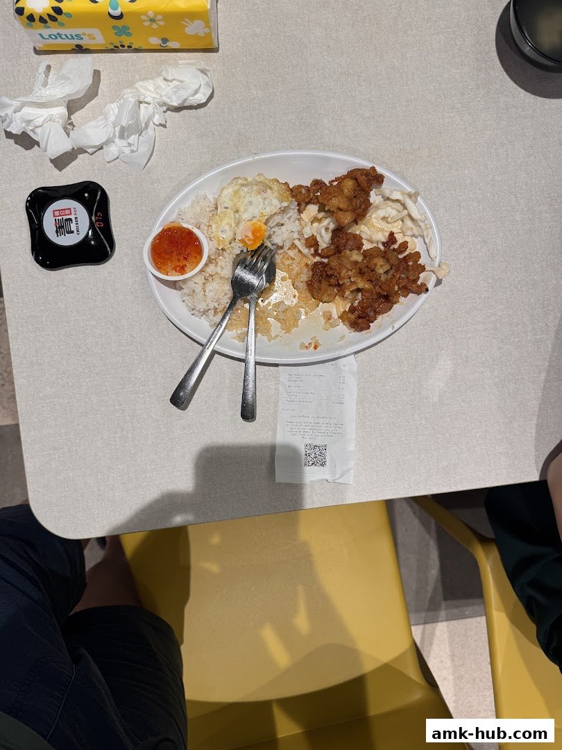 A plate of Thai food with rice, fried chicken, and a fried egg, along with a receipt and tissues.