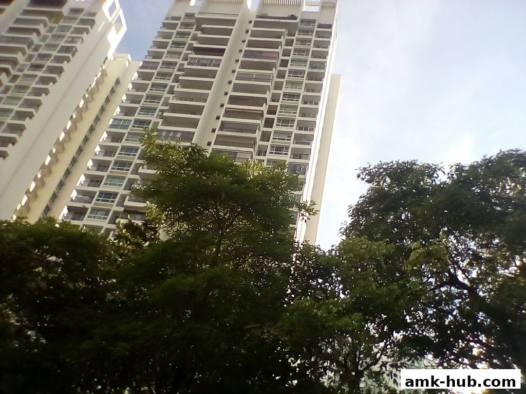 Tall white apartment buildings with balconies and lush green trees in the foreground.