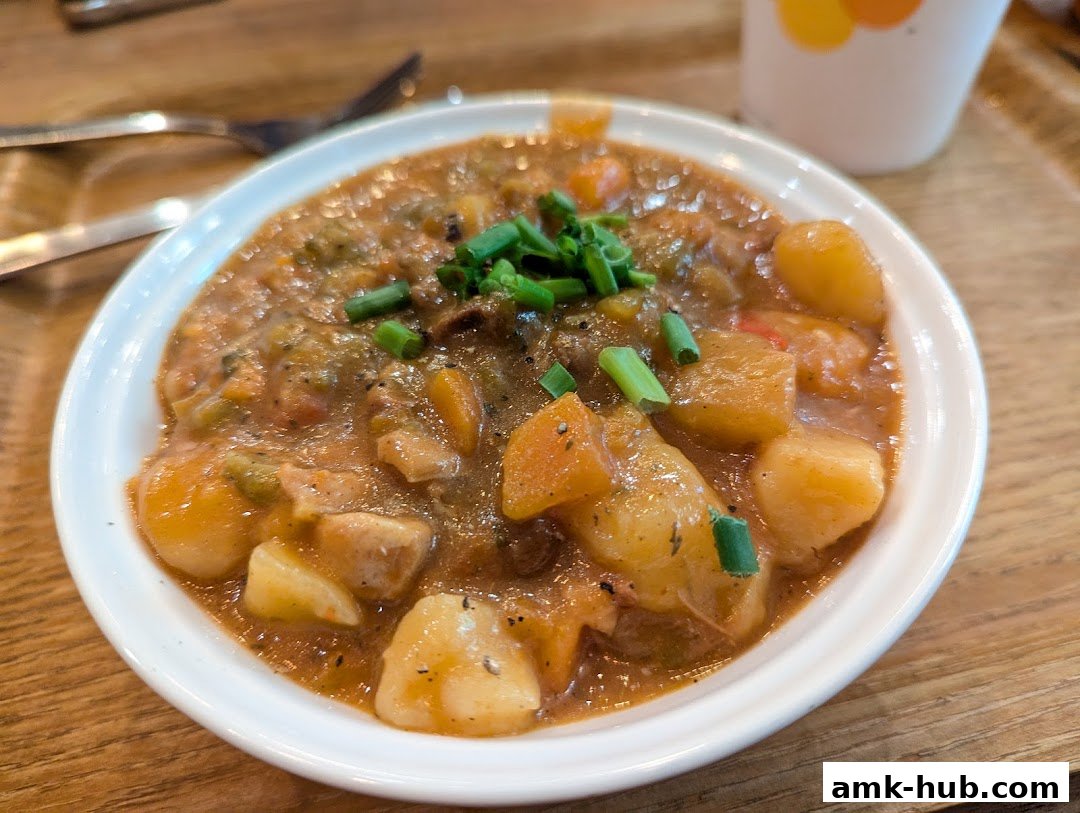 A hearty bowl of stew with potatoes, carrots, and green onions, served in a white bowl.