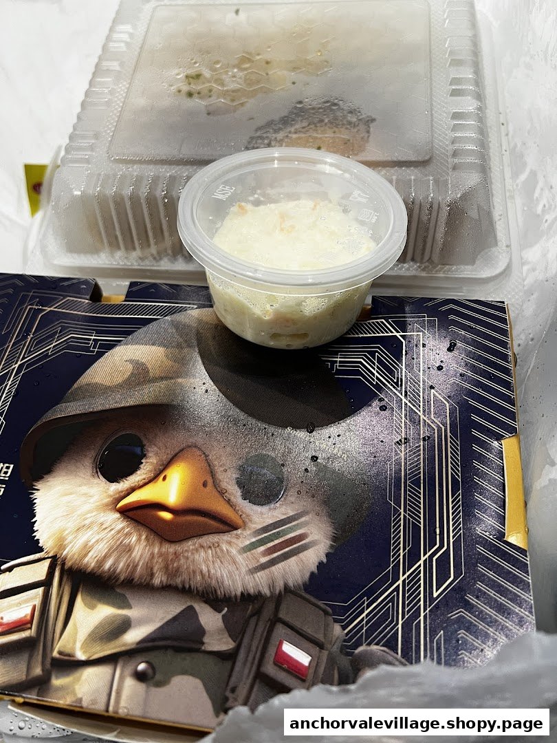 Takeaway meal from Soldier Chicken, with a main dish, coleslaw, and distinctive branded packaging.