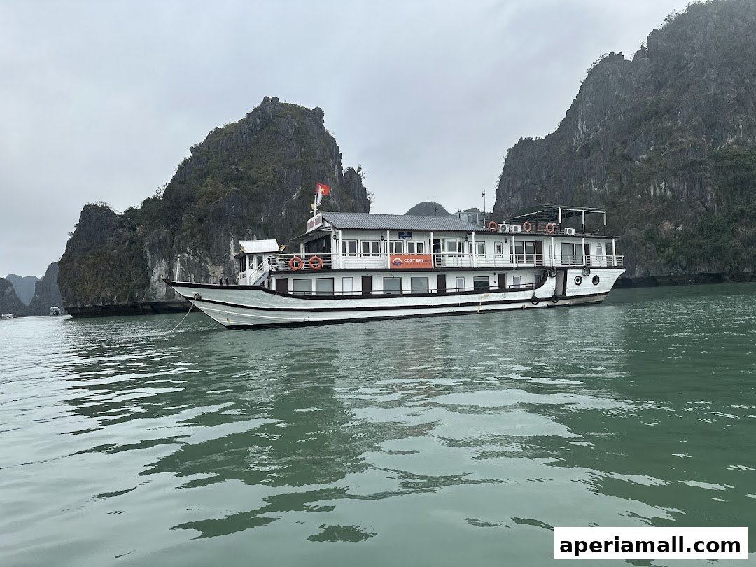 A large white cruise ship sails on calm green water near rocky islands under a cloudy sky.