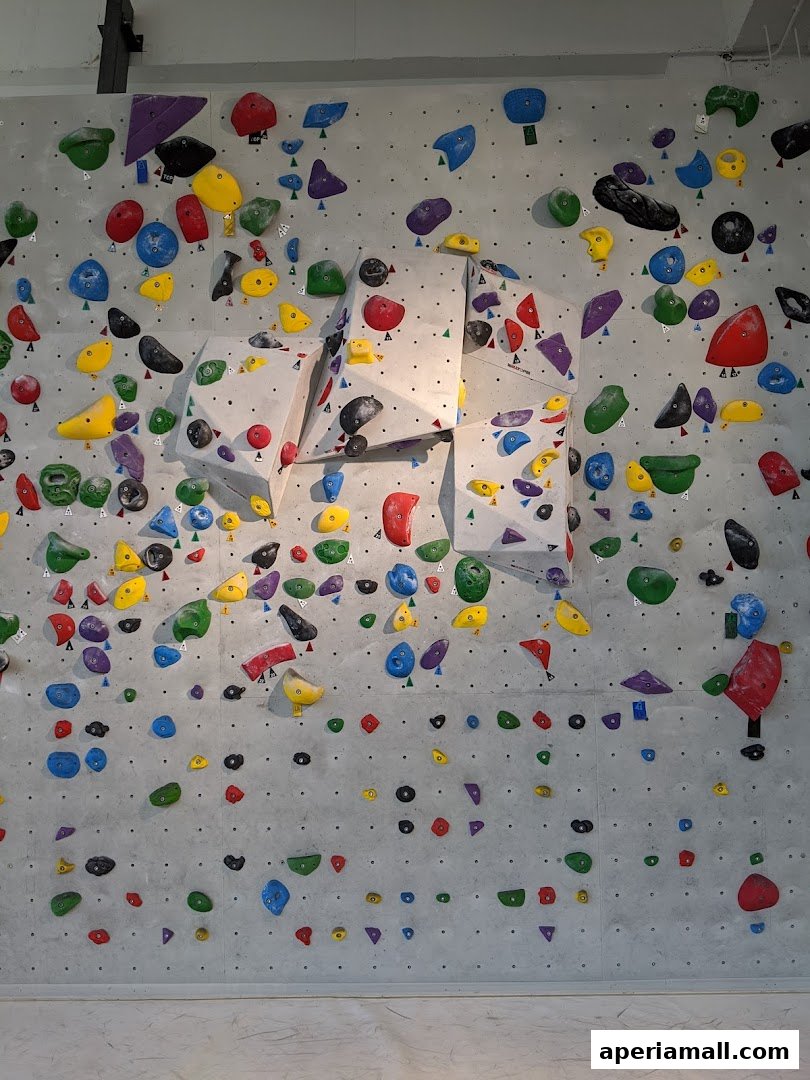 A large bouldering wall with colorful climbing holds of various shapes and sizes.