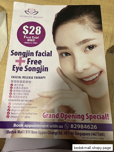 A promotional flyer for Ash Beauty Wellness, detailing a facial service and trial price.