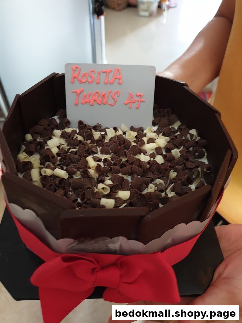 Hands holding a chocolate ice cream cake with a 'Rosita Turns 47' sign.
