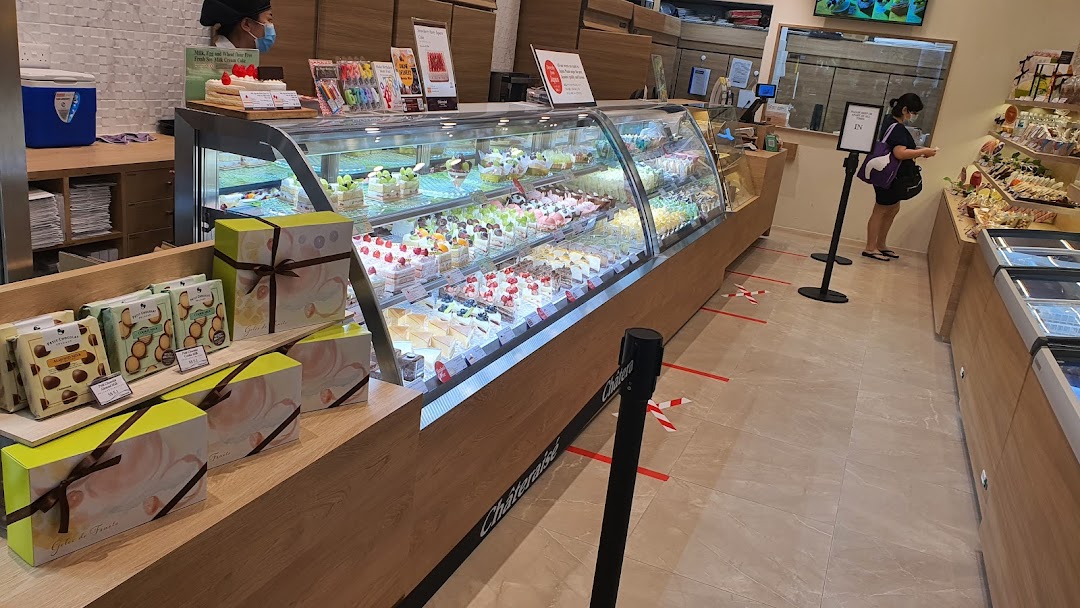 Interior view of a bakery with a large display case of cakes and pastries.