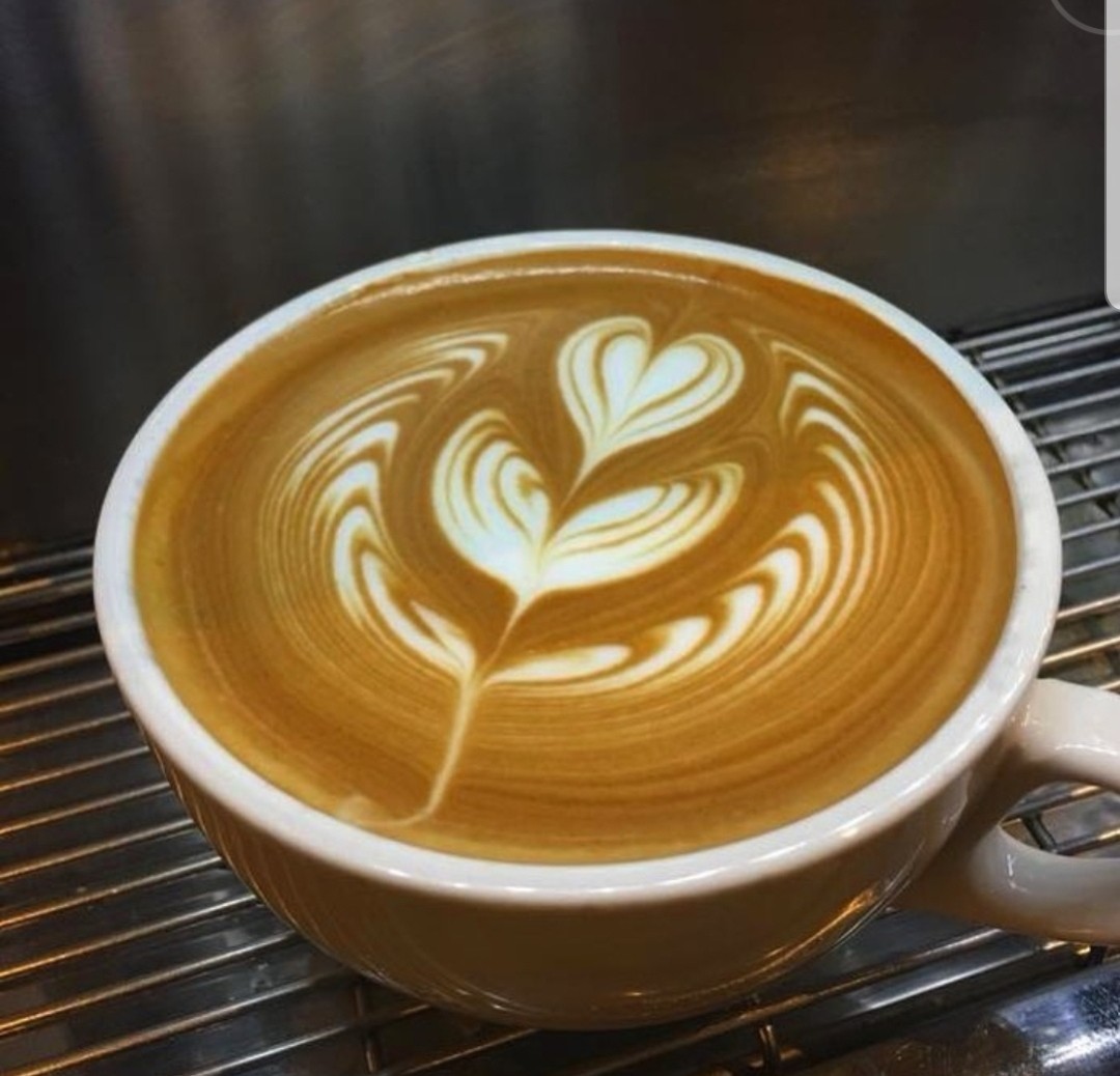 Close-up of a coffee cup with intricate latte art.