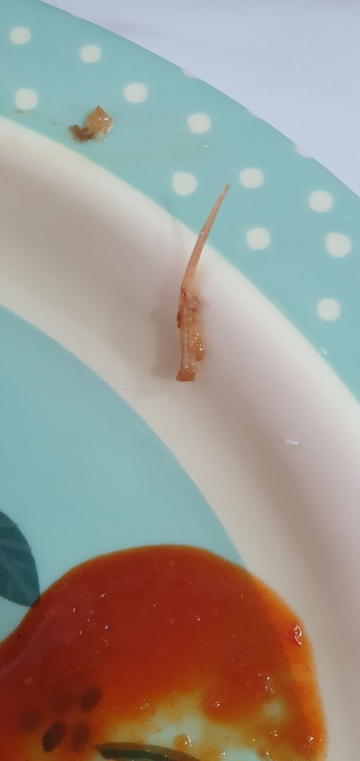 Close-up of a plate with a bone fragment and red sauce.