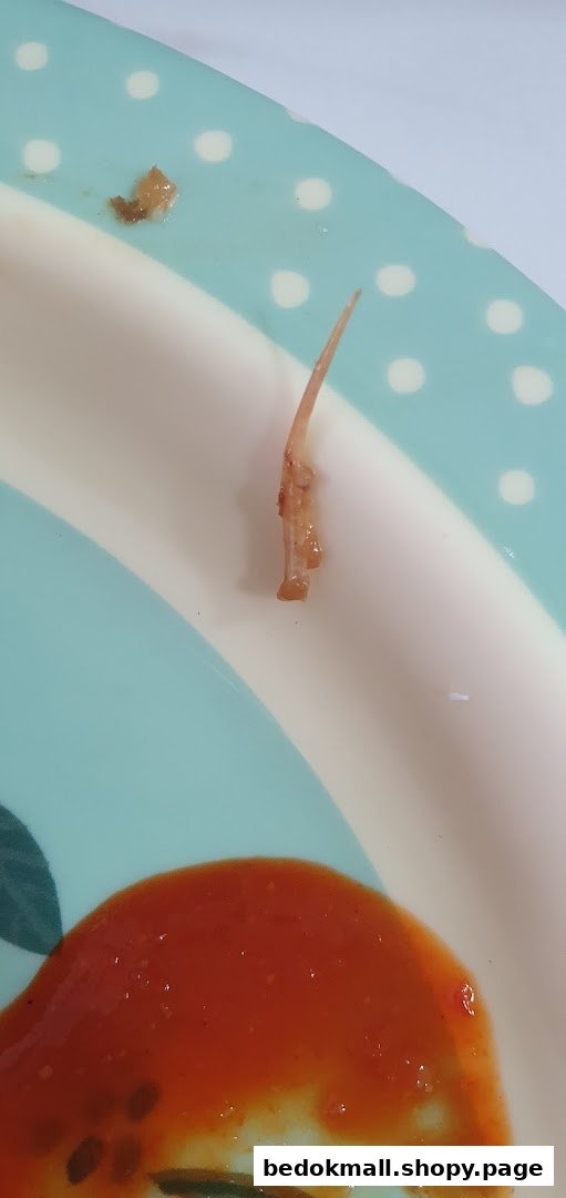 Close-up of a plate with a bone fragment and red sauce.