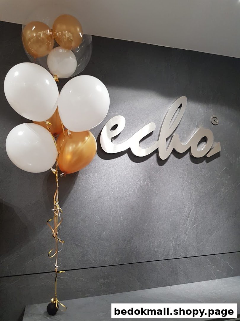 Balloons and the 'echo' logo on a dark textured wall.