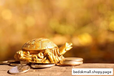 Close-up of a golden turtle figurine with coins on a wooden surface.