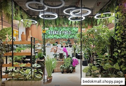 Ferns  Philo Bedok Mall