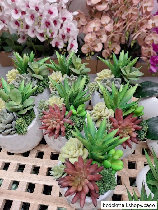 Potted artificial succulents and orchids displayed in a retail shop.