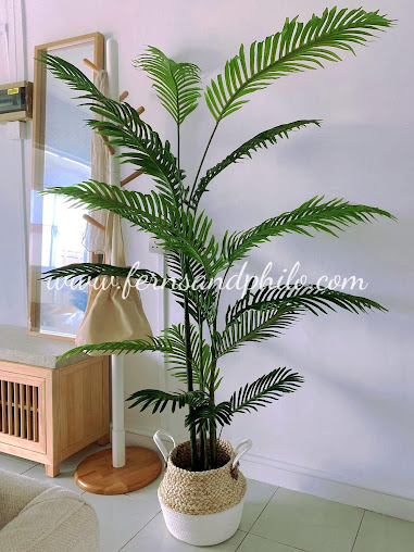 Shop image