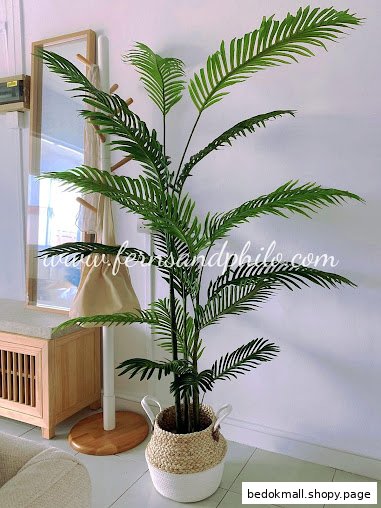 An artificial plant in a two-tone basket, with furniture in the background.