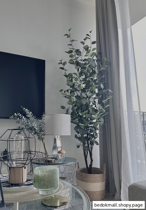 An interior shot featuring a large plant, lamp, TV, and decorative items.