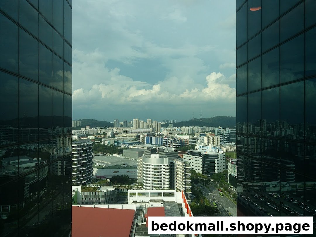 City skyline view from a building, framed by reflective glass windows.