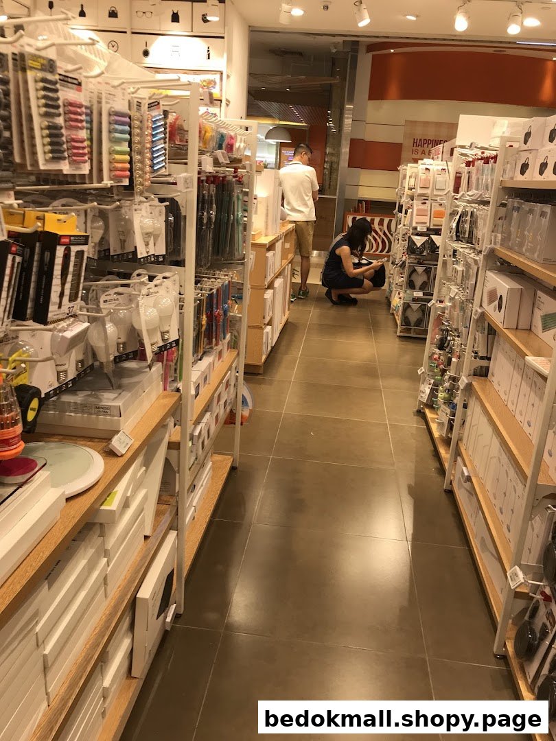 Interior view of a retail store aisle with products and customers.
