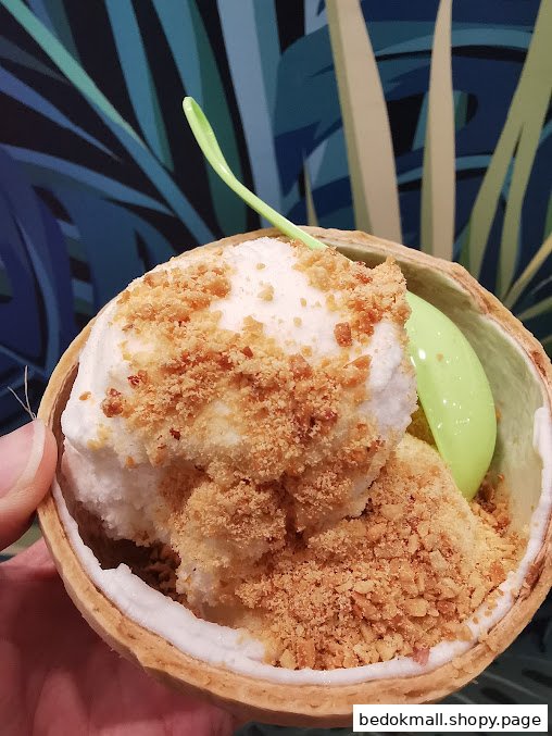 Coconut ice cream with toppings served in a coconut shell with a green spoon.