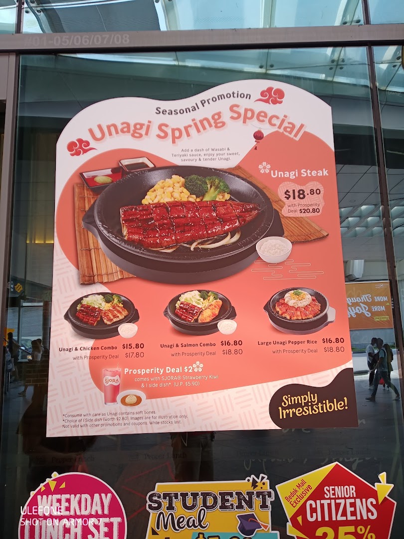 Promotional menu for Unagi Spring Special, showing dishes and prices.