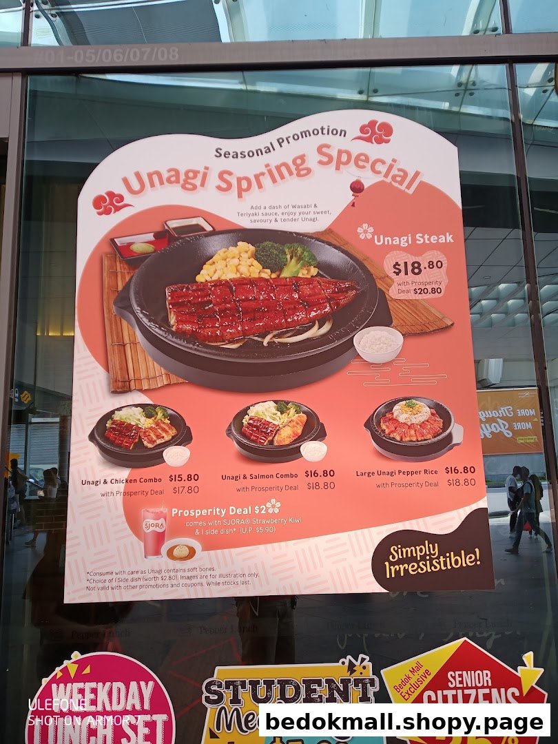 Promotional menu for Unagi Spring Special, showing dishes and prices.