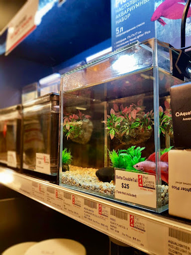 Shop image