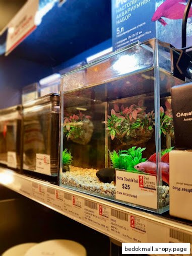Aquariums with fish and price tags displayed inside a pet shop.