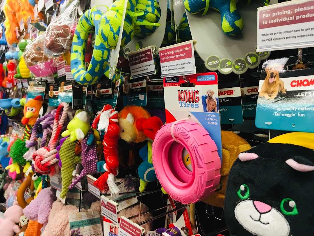 Close-up of a retail display featuring many colorful pet toys.