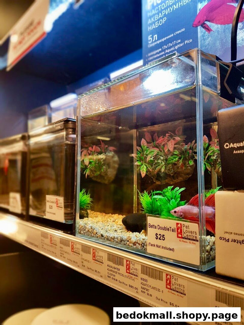 Aquariums with fish and plants displayed on a shelf in a pet store.