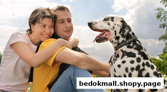 A man and woman with a Dalmatian dog outdoors.