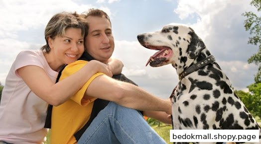 A couple sitting outdoors with a Dalmatian dog.