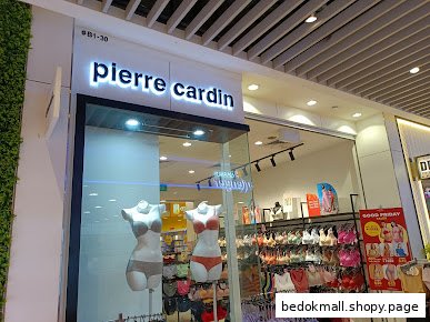 Pierre Cardin Lingerie  Bedok Mall