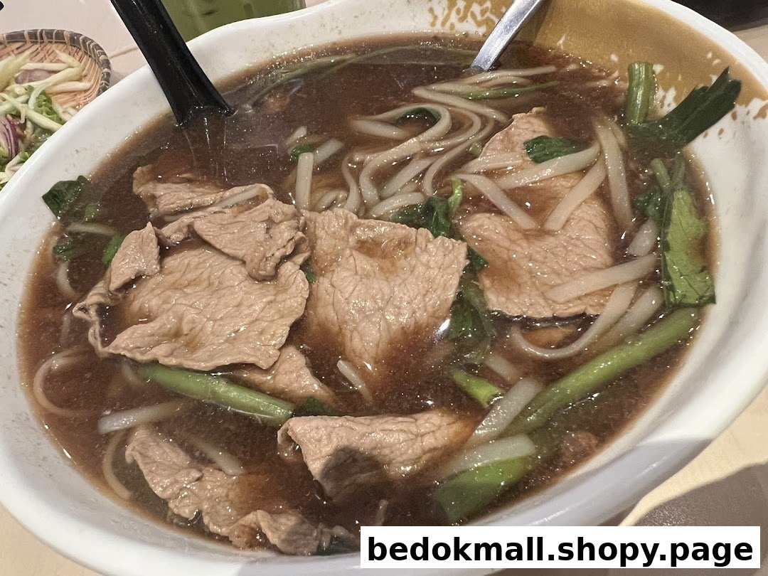 A close-up of a bowl of beef noodle soup with vegetables.