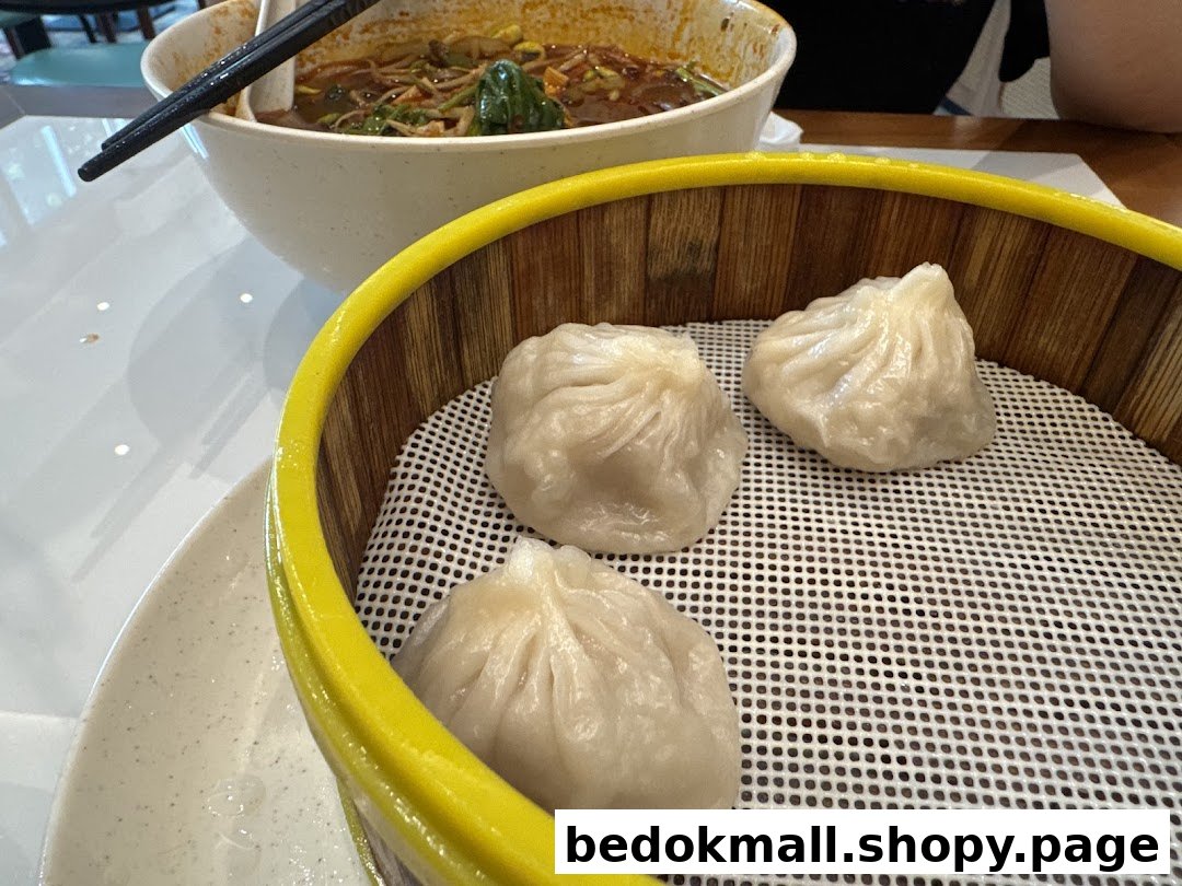 A bamboo steamer with dumplings and a bowl of noodles on a table.