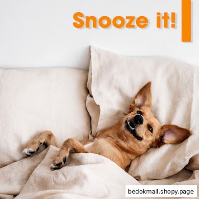 A happy dog lies in bed under a blanket with text 'Snooze it!'.