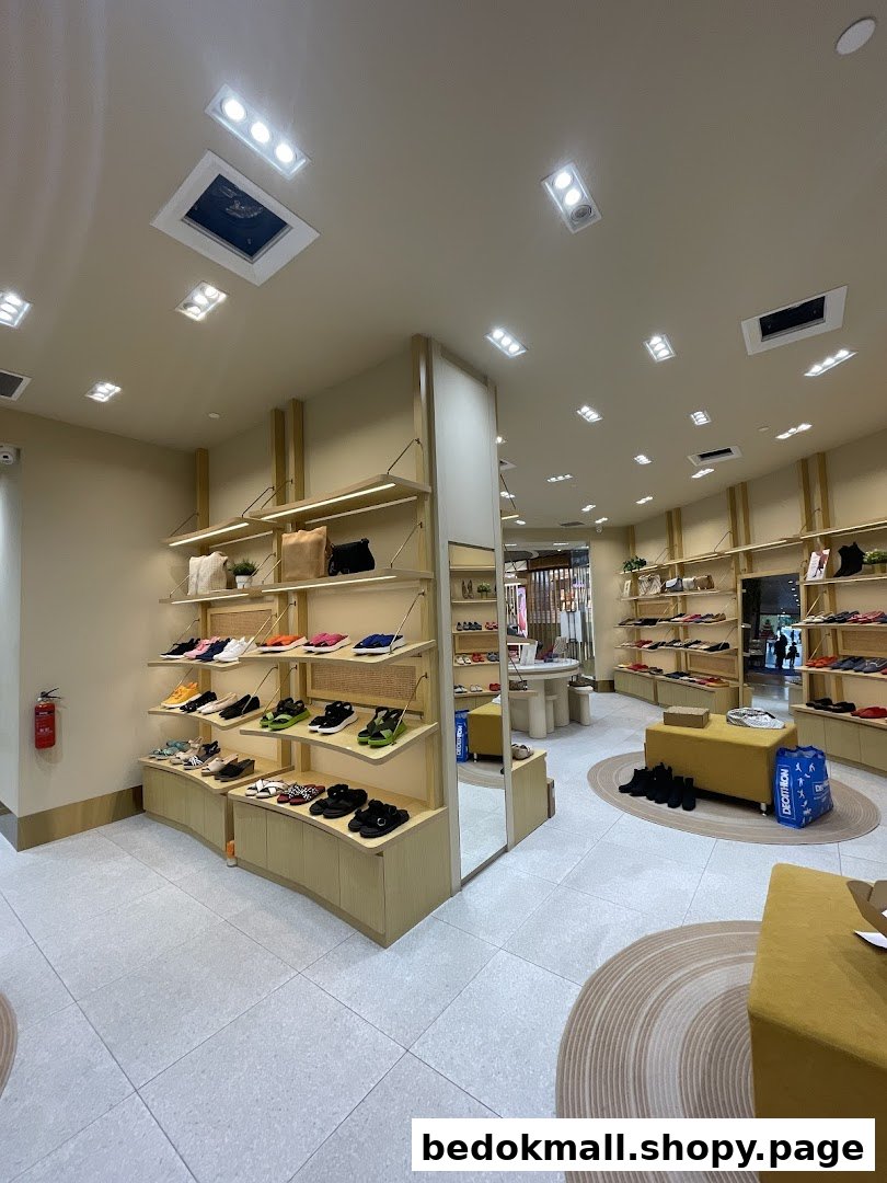 Interior view of a shoe store with shoes and bags displayed on shelves.