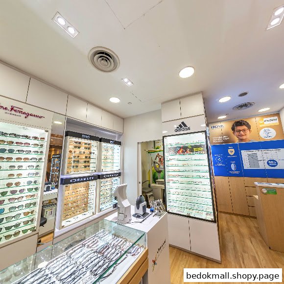 Interior view of an optical shop with display cases of eyeglasses and a counter.