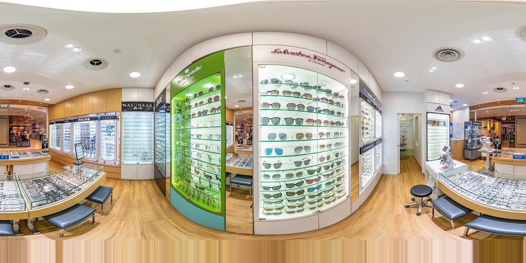 Interior of an optical shop displaying numerous eyeglasses and sunglasses.
