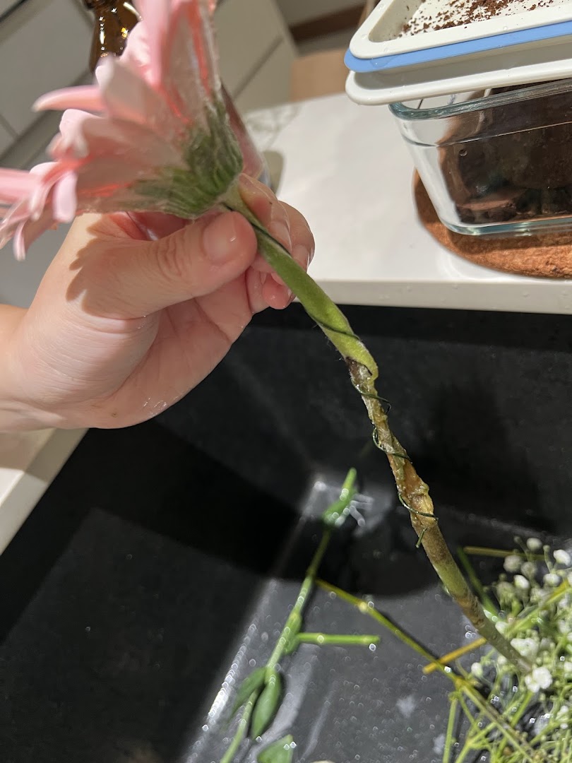 A hand holds a pink flower over a sink with other floral stems.